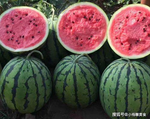 娱乐吃瓜酱好婚姻,好婚姻的秘诀与智慧